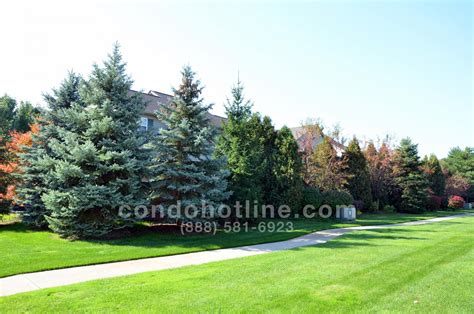 Dorchester Condos, Royal Oak, MI - Condo Hotline - Condo Hotline