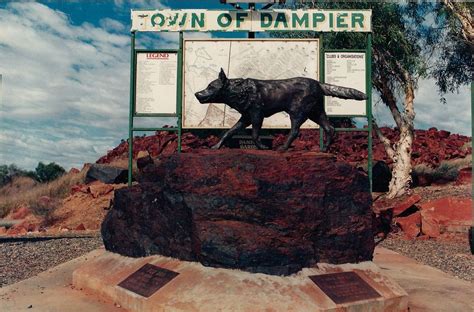 red dog  pilbara amusing planet