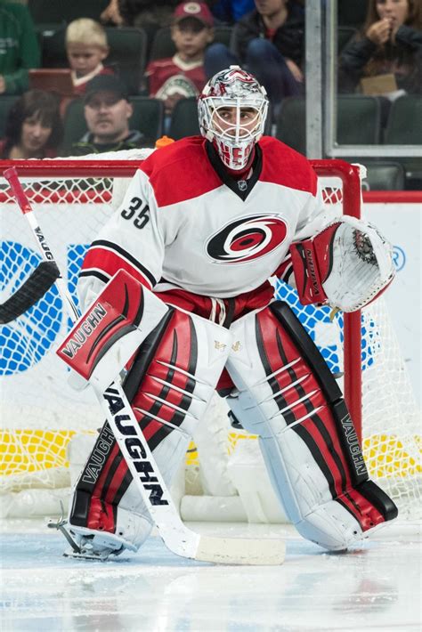 Hurricanes Recall Alex Nedeljkovic