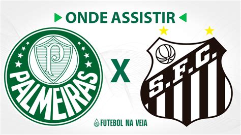 Palmeiras X Santos Onde Assistir Horário Do Jogo