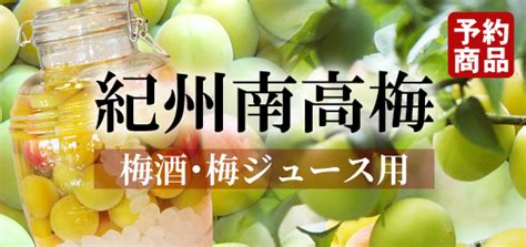 【送料無料】旨味極撰 紀南みかん「天」 5kg 紀州和歌山 梅干し・みかんのja紀南