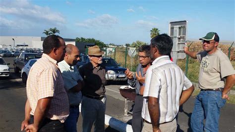 Pcr Solidaire Des Planteurs De Canne Sucre De La R Union