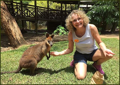 Kuranda Highlights Tour With Rainforest And Aboriginal Culture 2022