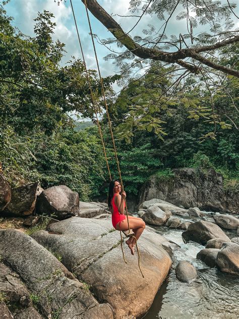 A Day in El Yunque Rainforest: How to Plan the Perfect Visit - Jordan ...