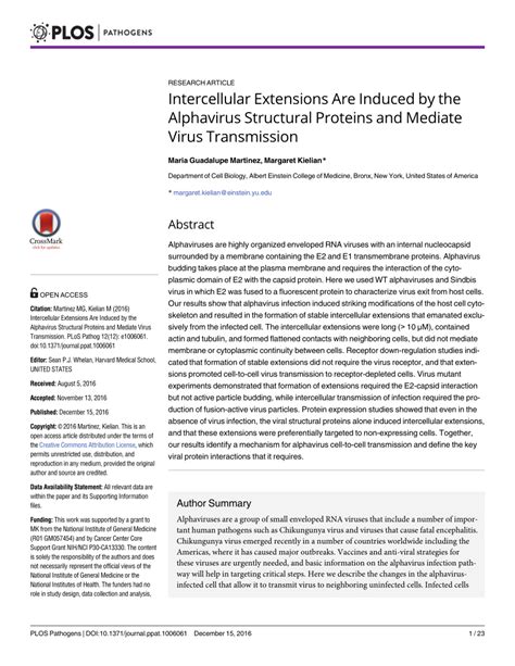 Pdf Intercellular Extensions Are Induced By The Alphavirus Structural