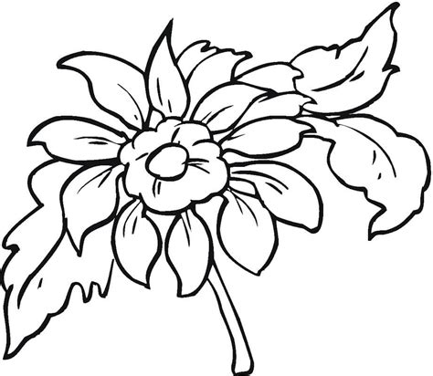 Desenhos De Flor D Lia Para Colorir E Imprimir Colorironline