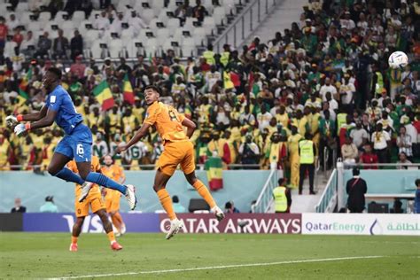 Los Pa Ses Bajos Devoran A Un Gran Senegal Con Dos Goles En Los Ltimos