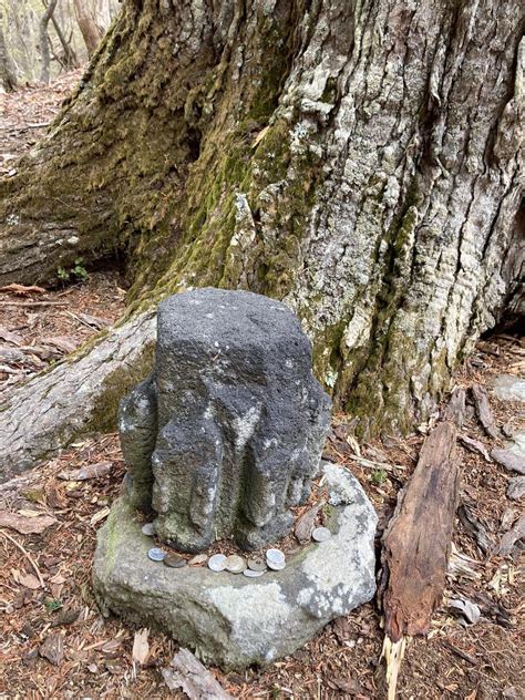 カライシ山・桑沢大山・大畠山・小高山・蛾ヶ岳・大平山・釈迦ヶ岳 登山道さんの蛾ヶ岳・大平山・釈迦ヶ岳の活動データ Yamap ヤマップ