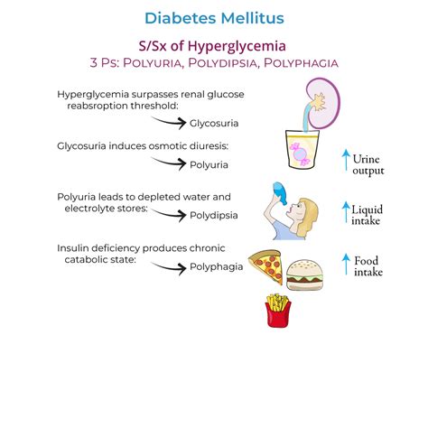 Pathophysiology Different Types Of Diabetes Pathogenesis Of Type 1 And