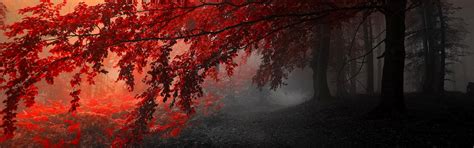 Fall Dual Monitor Wallpapers - Top Free Fall Dual Monitor Backgrounds ...