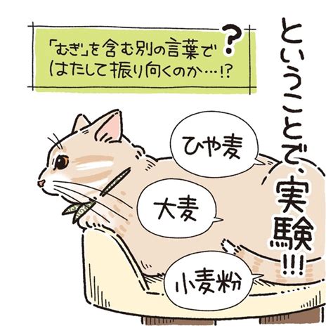 ＜画像64 121＞にじり寄るおしり、爪切りの戦い猫とのにぎやかな暮らしを描いた漫画がキュート｜ウォーカープラス