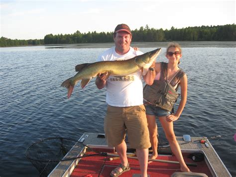 Big Muskie Caught On Lake X In X Wi On 812015 Muskiefirst