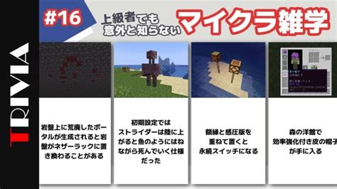 上級者でも意外と知らないマイクラ雑学 16【雑学】 Minecraft Summary マイクラ動画