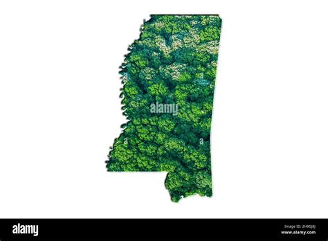 Green Forest Map of Mississippi, on white background Stock Photo - Alamy