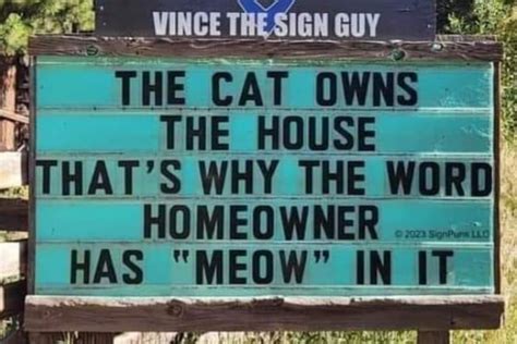 🐱 The Cat Owns The House 🏠 - PYGear.com