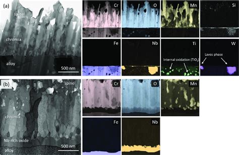 Bright Field Stem Images And Corresponding Eds Elemental Maps Of A