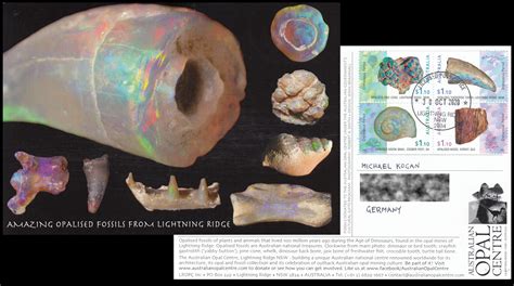 Paleophilatelie Eu Australia 2020 Opalised Fossils