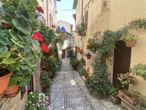 Spello, Umbria: the flower-filled Italian town you'll love | Mama Loves ...