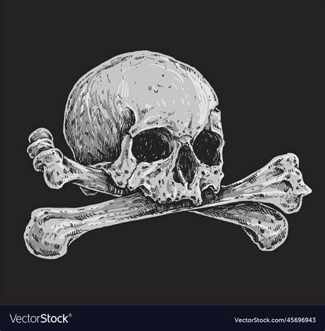 Skull and crossbones realistic drawing Royalty Free Vector