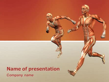 Muscular System Presentation Template For Powerpoint And Keynote Ppt Star