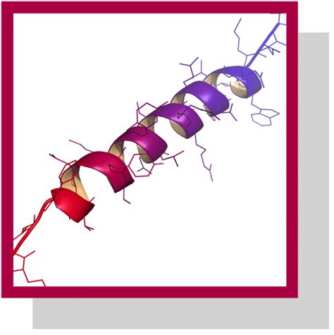 Glucagon Caract Ristiques Et R Les Biologiques Nutrixeal Info