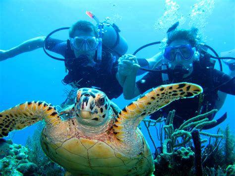 Prestigiosa revista Scuba Diving destaca a Roatán por su mágico