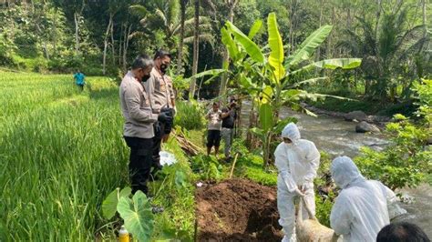 Bangkai Kambing Positif Pmk Dibuang Di Sungai Di Semarang Polisi