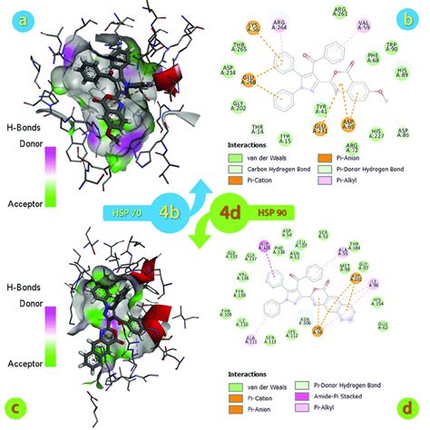 A 3d And B 2d Molecular Docking Results Of The 4 B Hsp70pdb