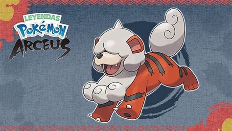 Confirmada La Distribuci N De Growlithe De Hisui Y M S Para Leyendas