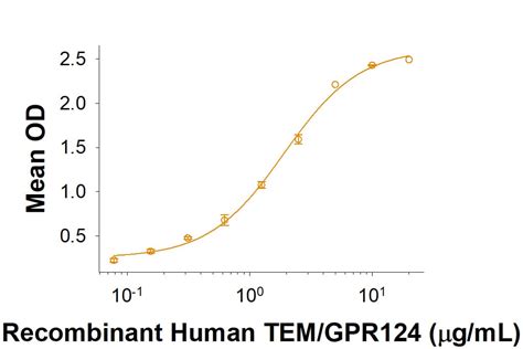 Recombinant Human RECK Fc Chimera Protein CF 10309 RE Bio Techne