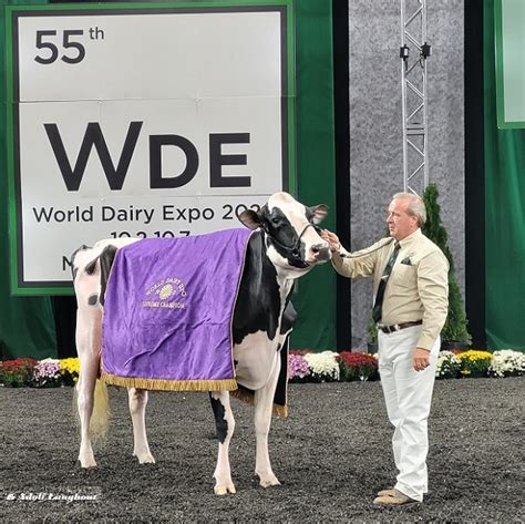 Senior Grand And Supreme Champion World Dairy Expo Embryosale