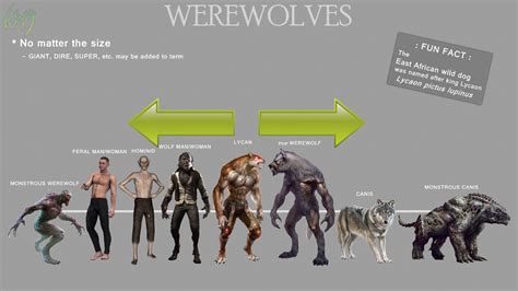 Ideas On Werewolf Mating Rituals Werewolves