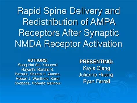 Ppt Rapid Spine Delivery And Redistribution Of Ampa Receptors After