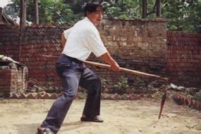 Taiji Quan Style Chen De Chenjiagou Chansi Chen Style Taiji Quan Lyon