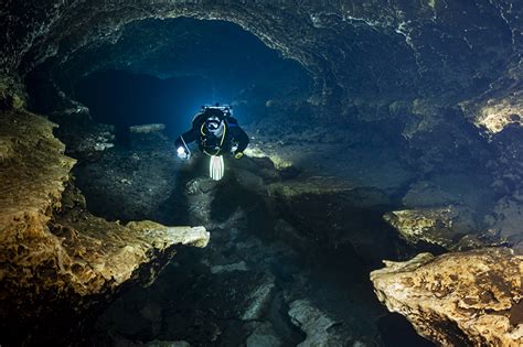 Ginnie Springs Floridas Cave Diving Mecca And More Underwater Journal