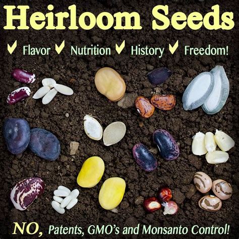 Heirloom Seeds