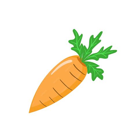 Premium Vector Carrot Vector Icon Isolated On White Background