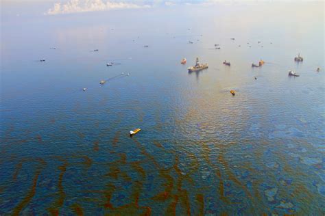 Deepwater Horizon clean-up proves toxic to corals - successful GREEN