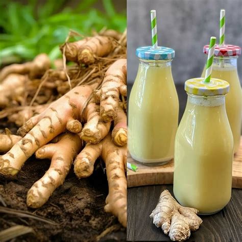 Embrace A Zesty Path To Wellness With Ginger Juice Stay Naturally Healthy