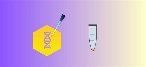 Plant RNA Extraction Overview Methods Tips Steps And More GoldBio