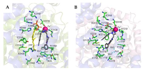 Protein Prenyltransferases And Their Inhibitors Structural And