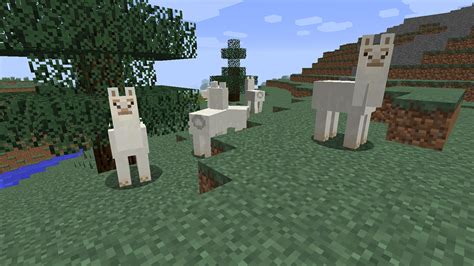 Cómo Domar Y Montar Una Llama En Minecraft Hobbyconsolas Juegos