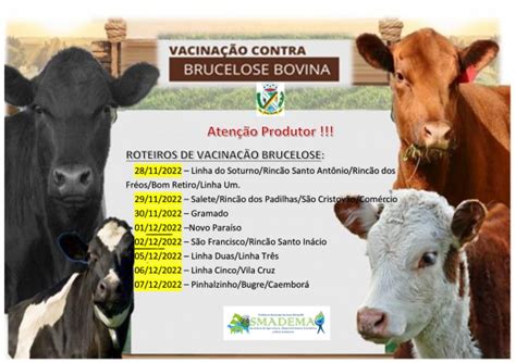 CAMPANHA DE VACINAÇÃO DA BRUCELOSE BOVINA 2º EDIÇÃO 2022 Notícias