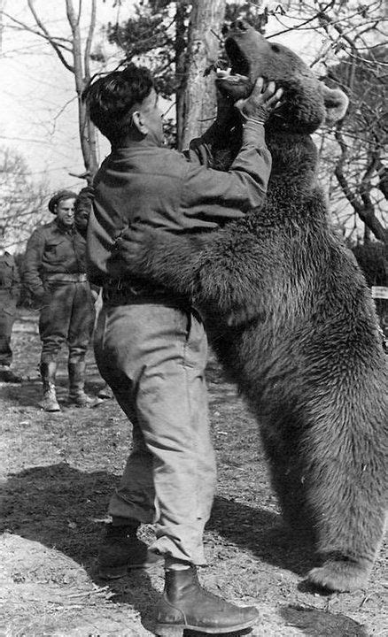 Wojtek The Bear That Joined The Polish Army And Fought The Nazis DER