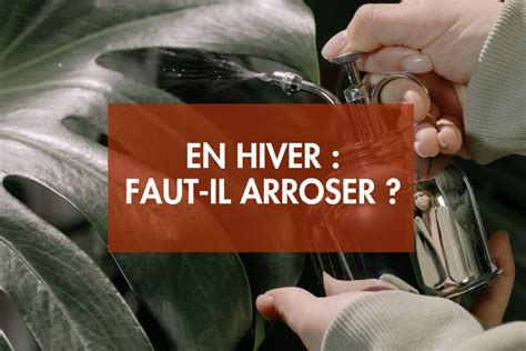 Arroser Les Plantes En Hiver Les P Pini Res Bellet