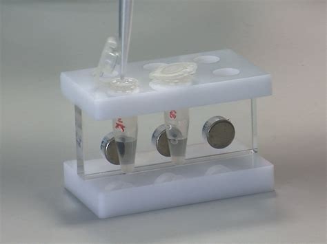 Video: Metagenomic Analysis of Silage 