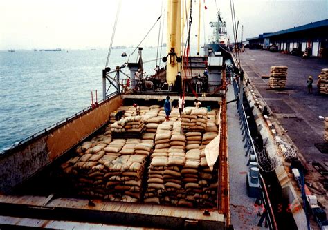 agricultural handling collyer logistics  pte  shipping  asia