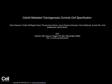 Cdc42 Mediated Tubulogenesis Controls Cell Specification Ppt Download