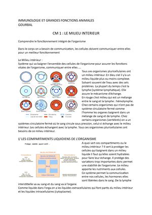 Chapitre Immunologie Le système immunitaire I INTRODUCTION AU