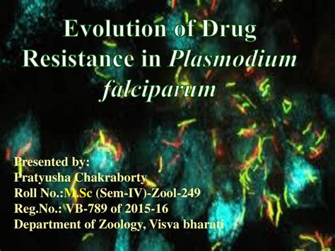 Evolution Of Drug Resistance In Plasmodium Falciparum - PowerPoint Slides - LearnPick India